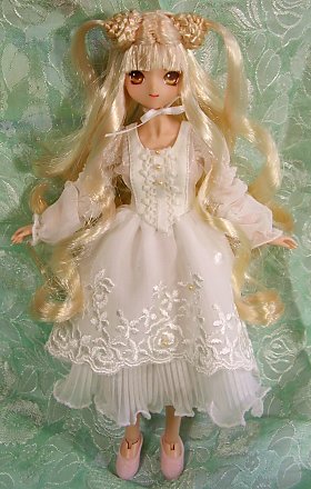 �I�����W�͎B�e���������Ԃ�������